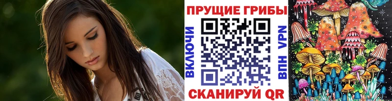 Псилоцибиновые грибы Psilocybe купить закладку Иркутск